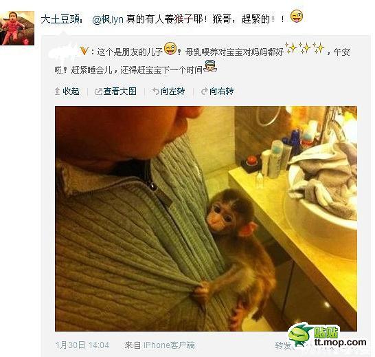 能買猴子當寵物 人類已經(jīng)無法阻止網(wǎng)購了