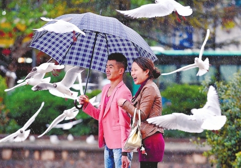 飛機飛滇增雨 云南全省降雨部分地區(qū)旱情緩和