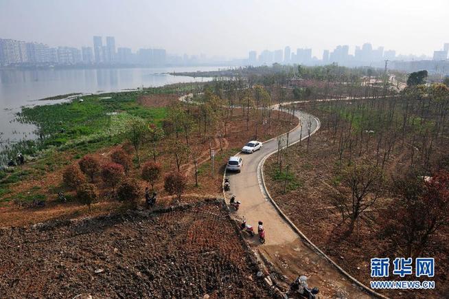 數百湖泊“人間蒸發” 地產商填湖建房觸目驚心