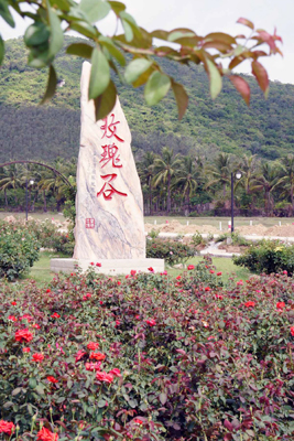 三亞致力發(fā)展玫瑰產(chǎn)業(yè)打造浪漫城市