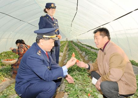 濮陽(yáng)工商幫扶種植戶(hù) 大力發(fā)展草莓種植