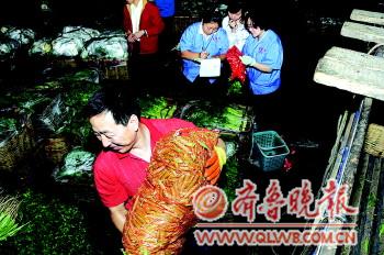 青島建成肉菜追溯體系 和濟南濰坊數(shù)據(jù)共享