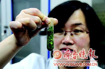 青島建成肉菜追溯體系 和濟南濰坊數(shù)據(jù)共享