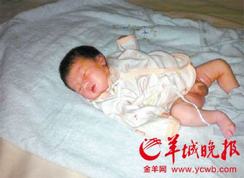 90后大學(xué)生宿舍當(dāng)奶爸 自述和棄嬰相處48小時(shí)