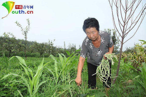 田桂榮：給抗日老兵超越血緣的人間大愛
