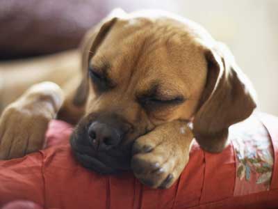 怎么睡覺會(huì)短命 睡一半容易崩潰