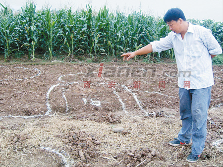 南鄭考古新發(fā)現(xiàn) 揭秘新石器時代如何裝修