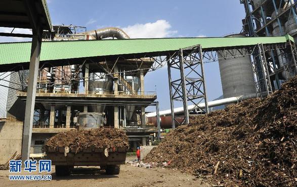 三峽水庫(kù)漂浮物成“新能源”