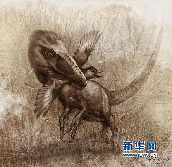 科學家首次揭秘帶羽毛恐龍的“最后晚餐”(圖)