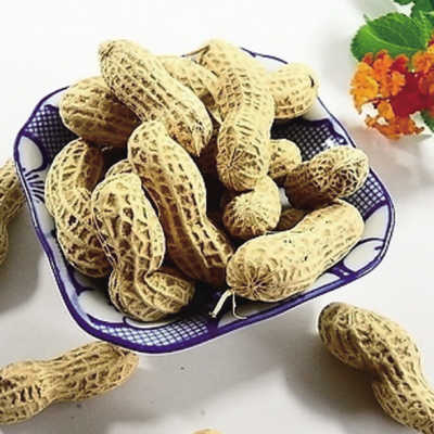 食療養生：盤點營養專家最愛吃的零食