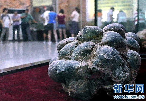 河南啟動第一次全國可移動文物普查