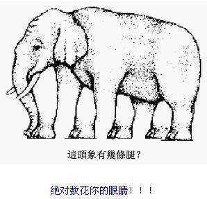 瘋狂的圖片！ 測測你的心理和眼力