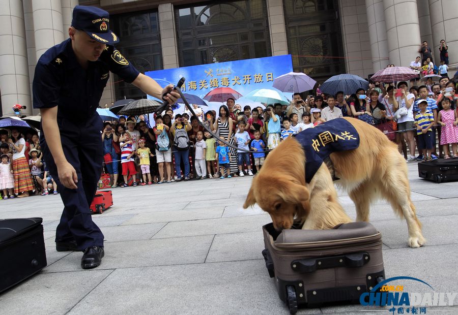 國(guó)際禁毒日前夕：與明星緝毒犬親密接觸