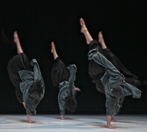 海外成名歸來 陶劇團將在國家大劇院正式國內首演