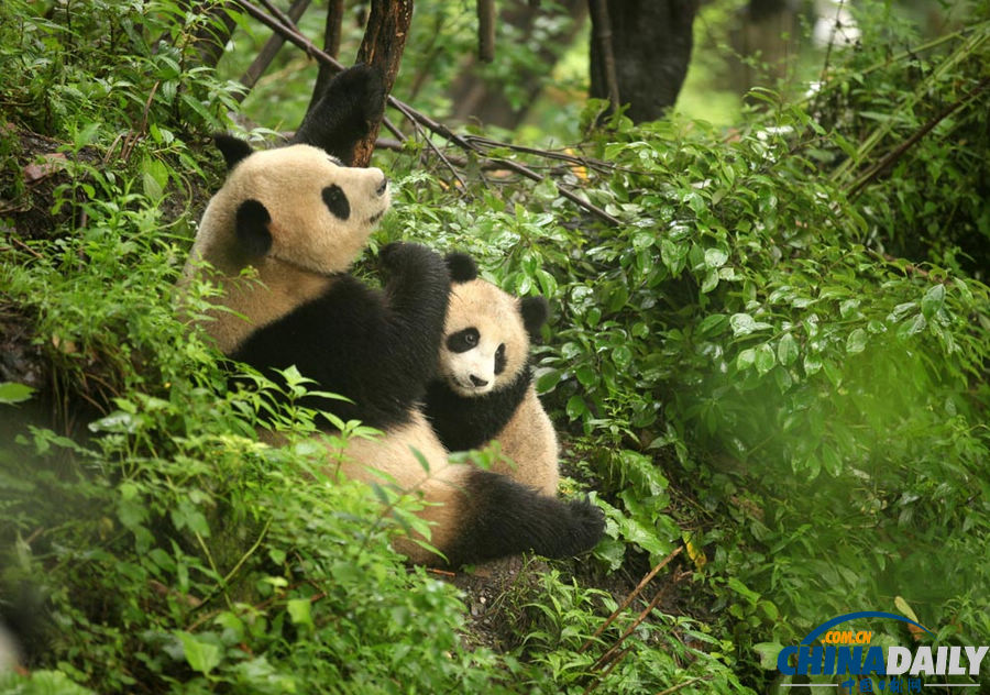 《中國(guó)日?qǐng)?bào)》一周圖片精選：7月13日—7月19日