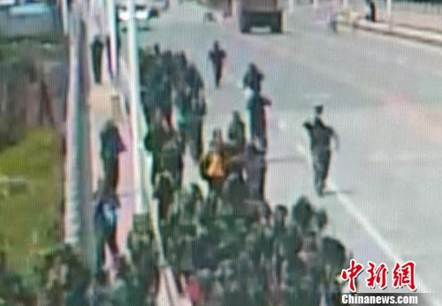 廣西一中學師生軍訓返校遭馬蜂襲擊 57人被蜇傷