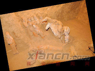 上官婉兒墓未現(xiàn)棺槨：被破壞或是官方毀墓