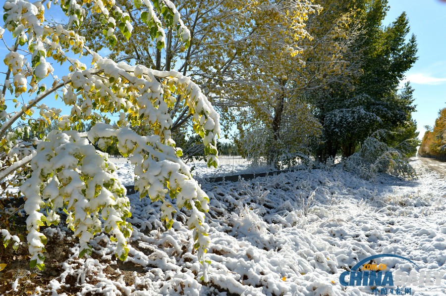新疆哈密迎來降雪天氣 山區路段車輛擁堵滯留