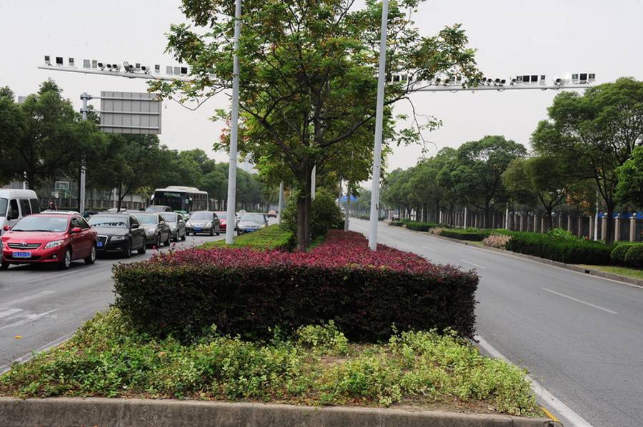 北京上海兩市路段現密集探頭遭調侃