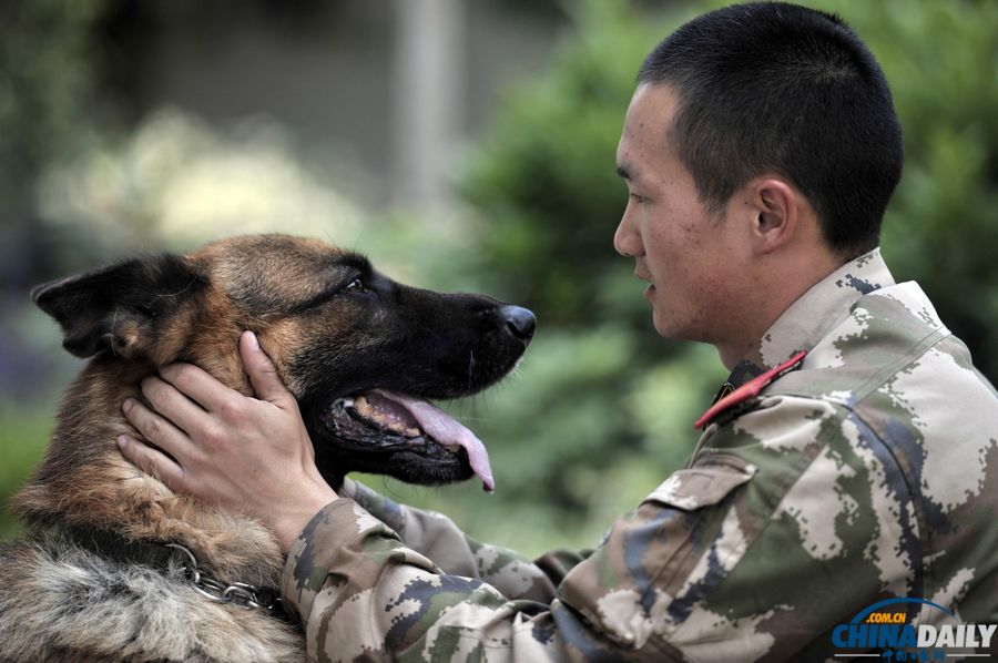 “戰友”的特殊告別：人犬分別的感人瞬間