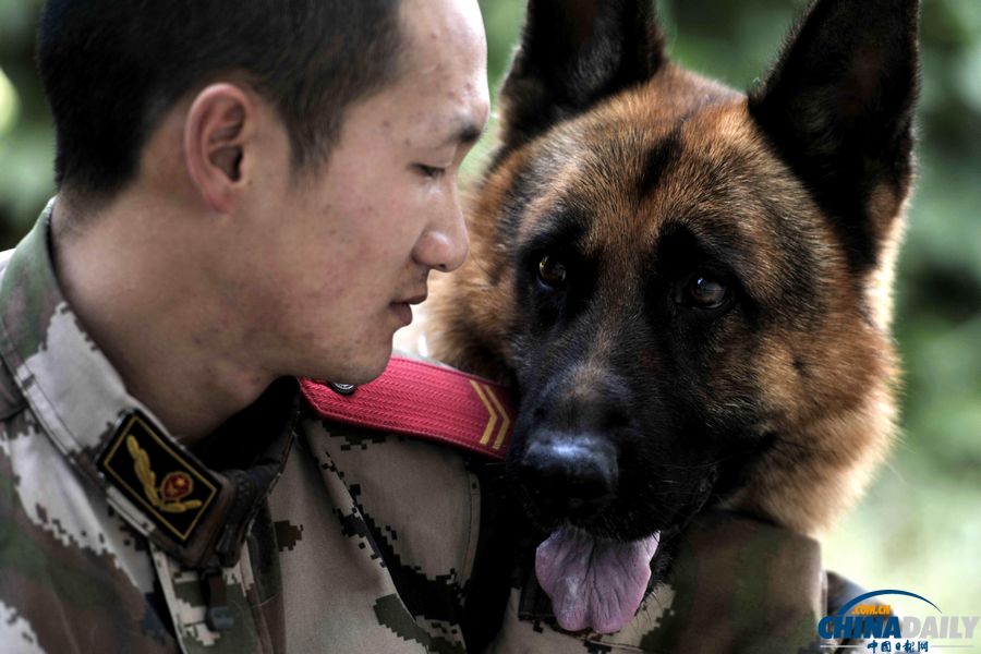 “戰友”的特殊告別：人犬分別的感人瞬間