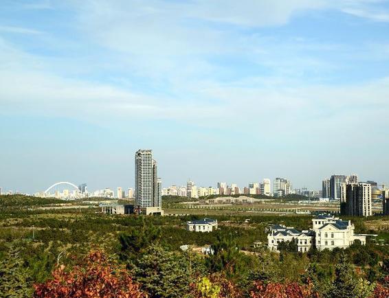 對話鄂爾多斯市長廉素：轉型－－資源型城市的抉擇