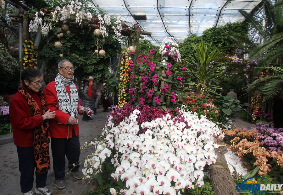 北京植物園邀金婚老人過情人節 甜蜜“曬證”