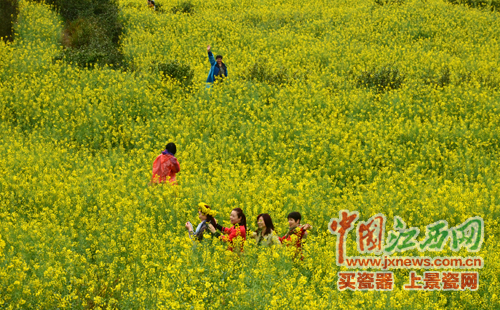 全國(guó)網(wǎng)媒記者逛婺源江嶺 邂逅花田喜事贊“天上人間”