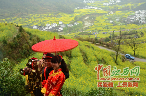 全國(guó)網(wǎng)媒記者逛婺源江嶺 邂逅花田喜事贊“天上人間”