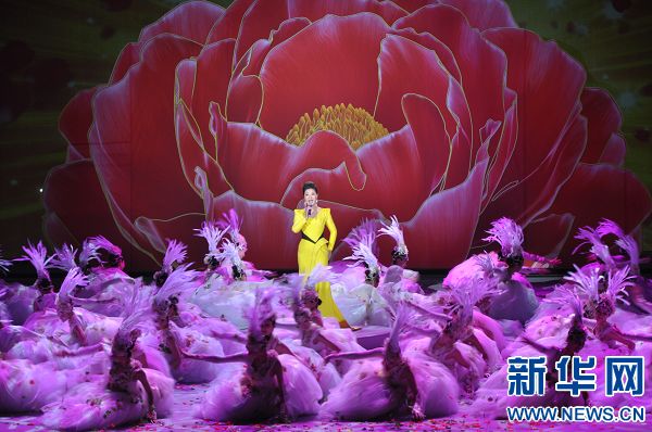 牡丹花開(kāi) 共享國(guó)色 第31屆洛陽(yáng)牡丹文化節(jié)開(kāi)幕