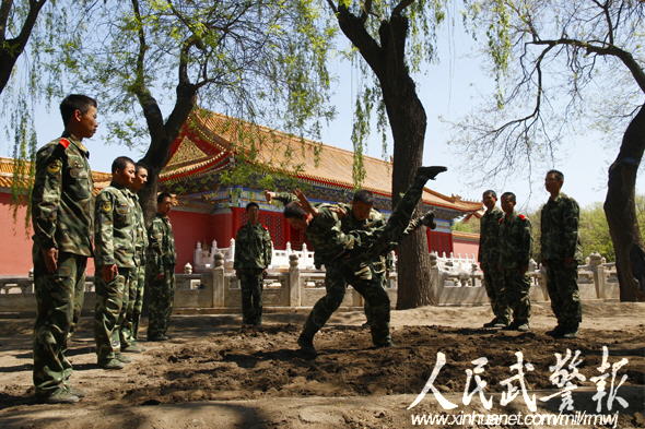 獨家揭秘:守護國寶的紫禁城