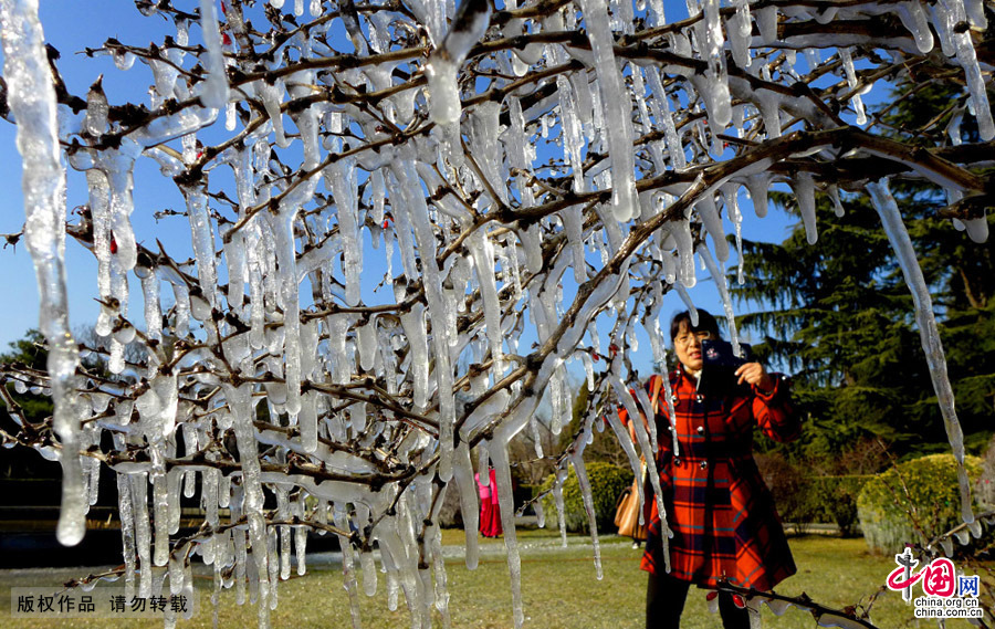 北京石景山一公園現(xiàn)罕見(jiàn)“冰世界”景觀