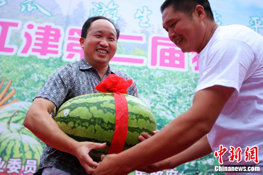 重慶江津西瓜節(jié)“大胃王”4分鐘吃瓜5斤（圖）