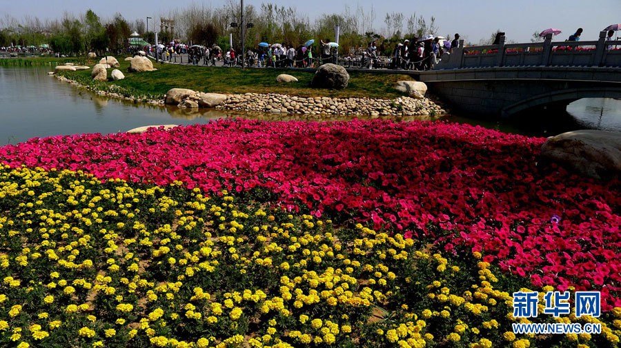 2011西安世園會開園