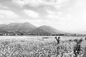 今年6個旅游同城化項目穩步推進 一張卡游遍廈漳泉