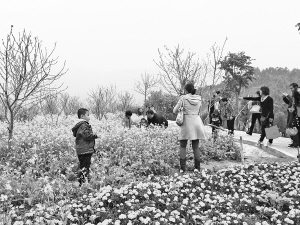 今年6個旅游同城化項目穩步推進 一張卡游遍廈漳泉