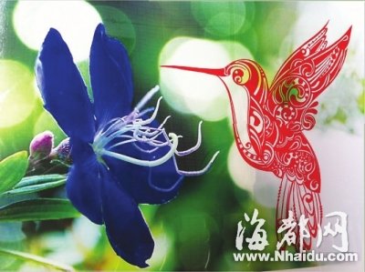 長樂一80后小伙子剪紙技藝驚艷眾網(wǎng)友