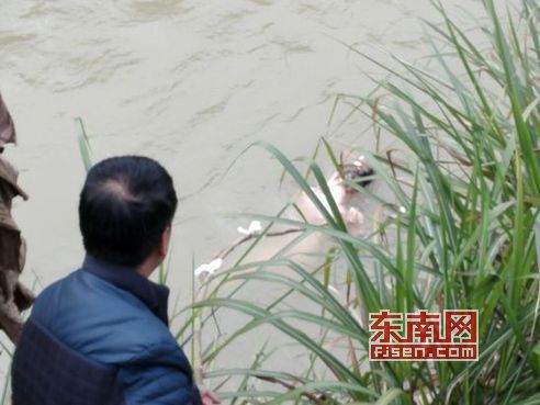 沙縣：河面漂浮