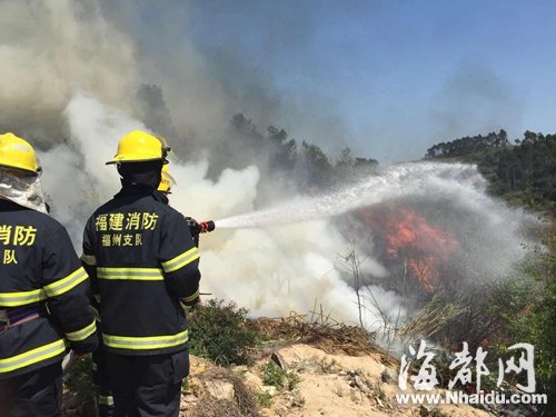清明臨近山林火警頻發(fā) 文明祭掃須戒“七宗罪”