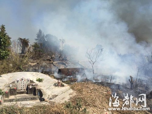 清明臨近山林火警頻發(fā) 文明祭掃須戒“七宗罪”