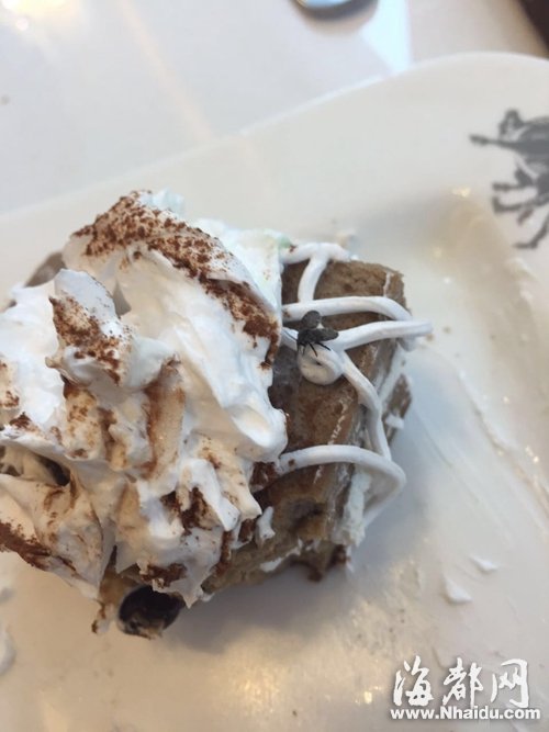 斗牛士餐廳甜點沾上毛蠓 市民餐后出現(xiàn)嘔吐腹瀉