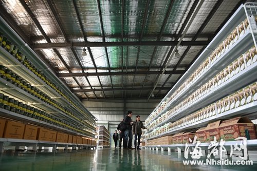 福建開啟“自貿加速度” 有閩商擬將總部遷回