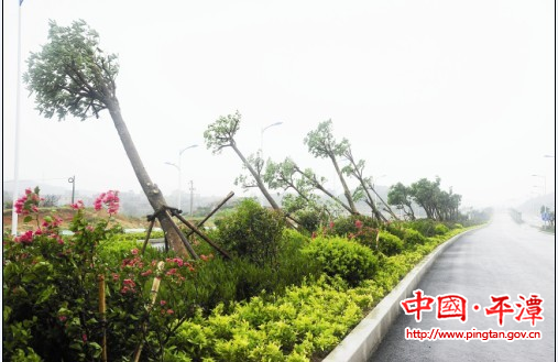 裹風攜雨“潭美” 卷走我區1.5億元