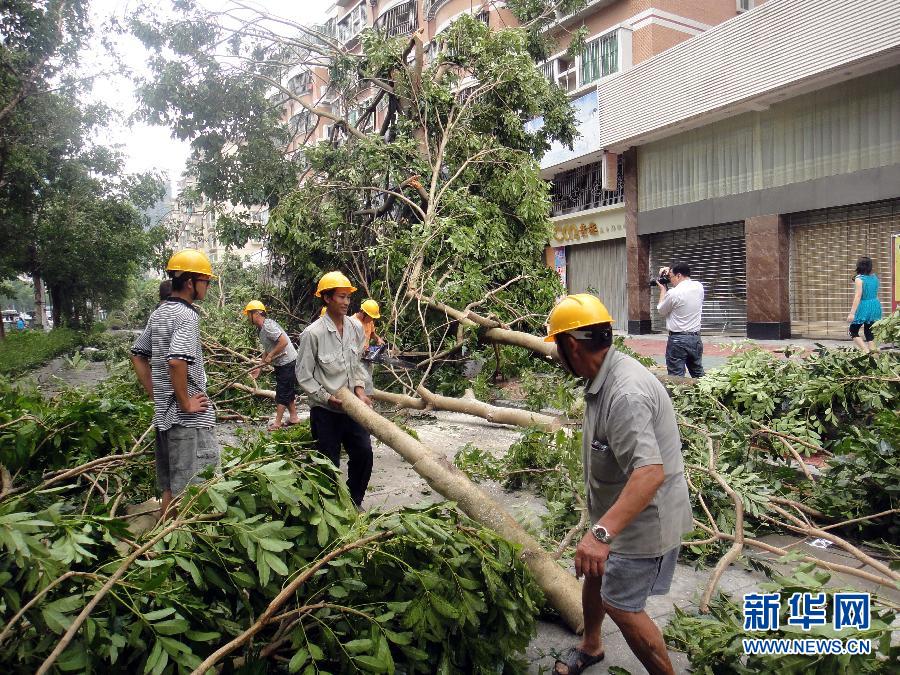 “天兔”影響減弱 廣東開始災(zāi)后恢復(fù)重建