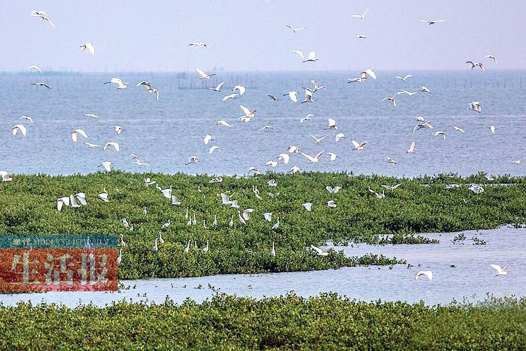 廣西13個國家濕地公園 原始生態風光值得欣賞