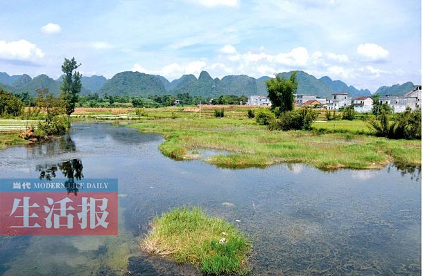 廣西13個(gè)國家濕地公園 原始生態(tài)風(fēng)光值得欣賞