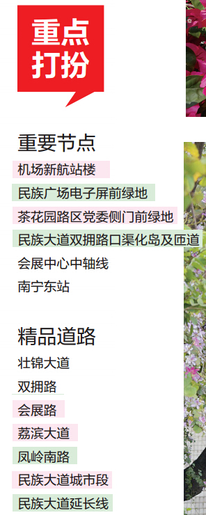 南寧將種植鮮花五百萬株 覆蓋重要區(qū)域和精品道路