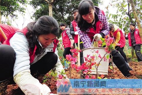 南寧市開展“花樣南寧”建設義務植樹活動