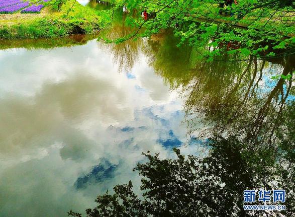 世界上最美麗的春季花園——荷蘭庫肯霍夫公園