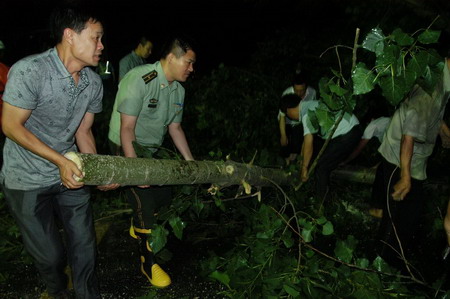 河南嵩縣突遭罕見冰雹襲擊 農作物受災嚴重